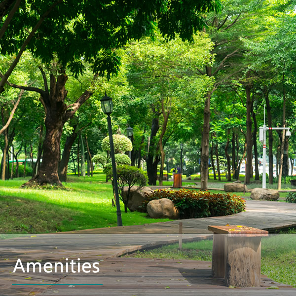 Features and Amenities